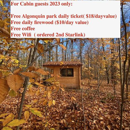 Algonquin Madawaska Lodge Cottage Glamping Cabins Exterior photo